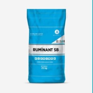 RUMİNANT SB